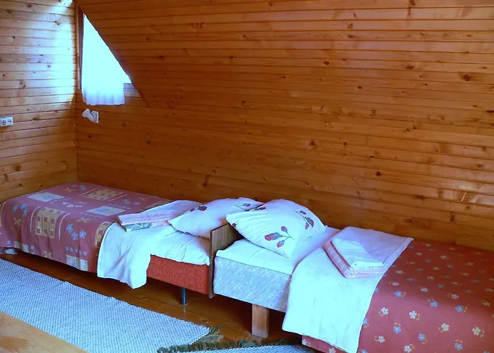 Guest house Kivi Turismitalu 3*